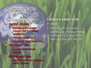 Biogeochemical cycles and conservation ecology 2010 edition | PPTX