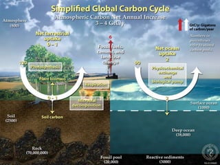 Biogeochemical cycles and conservation ecology 2010 edition | PPTX