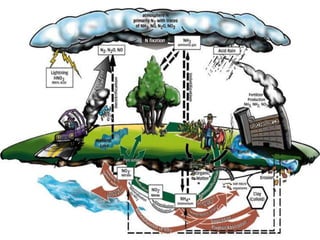 Biogeochemical cycles and conservation ecology 2010 edition | PPTX