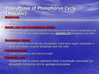 Biogeochemical cycles and conservation ecology 2010 edition | PPTX
