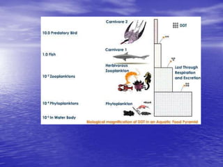 Biogeochemical cycles and conservation ecology 2010 edition | PPTX