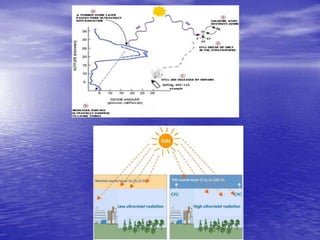 Biogeochemical cycles and conservation ecology 2010 edition | PPTX