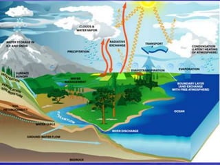 Biogeochemical cycles and conservation ecology 2010 edition | PPTX
