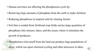Biogeochemical cycles and phosphorous cycle | PPTX
