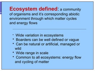 Comprehensive Overview of Biogeochemical Cycles and Their Ecological ...