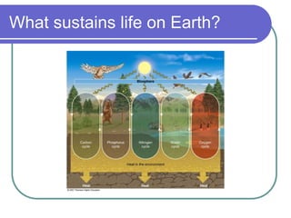What sustains life on Earth?
 