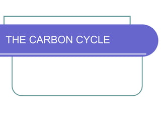 THE CARBON CYCLE
 