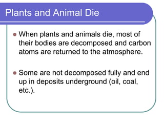 Plants and Animal Die
 When plants and animals die, most of
their bodies are decomposed and carbon
atoms are returned to the atmosphere.
 Some are not decomposed fully and end
up in deposits underground (oil, coal,
etc.).
 