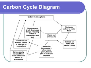 Carbon Cycle Diagram
Carbon in Atmosphere
Plants use
carbon to make
food
Animals eat
plants and
take in carbon
Plants and
animals die
Decomposers
break down dead
things, releasing
carbon to
atmosphere and
soil
Bodies not
decomposed —
after many
years, become
part of oil or coal
deposits
Fossil fuels are
burned; carbon
is returned to
atmosphere
Carbon slowly
released from
these substances
returns to
atmosphere
 