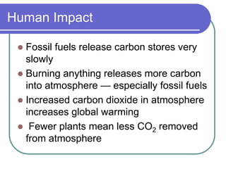 Human Impact
 Fossil fuels release carbon stores very
slowly
 Burning anything releases more carbon
into atmosphere — especially fossil fuels
 Increased carbon dioxide in atmosphere
increases global warming
 Fewer plants mean less CO2 removed
from atmosphere
 