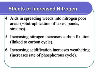 Effects of Increased Nitrogen
4. Aids in spreading weeds into nitrogen poor
areas (+Eutrophication of lakes, ponds,
streams).
5. Increasing nitrogen increases carbon fixation
(linked to carbon cycle).
6. Increasing acidification increases weathering
(increases rate of phosphorous cycle).
 
