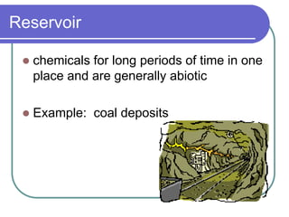 Reservoir
 chemicals for long periods of time in one
place and are generally abiotic
 Example: coal deposits
 