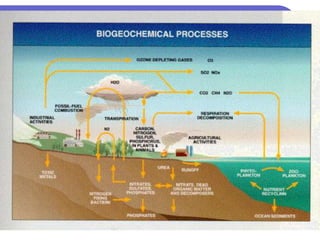 biogeochemical_cycles_chapter_5_1.ppt