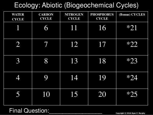 38 Water Carbon And Nitrogen Cycle Worksheet Color Sheet Answer Key