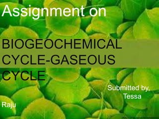 ASSIGNMENT ON
BIOGEOCHEMICAL
CYCLE
GASEOUS CYCLE
Assignment on
BIOGEOCHEMICAL
CYCLE-GASEOUS
CYCLE
Submitted by,
Tessa
Raju
 