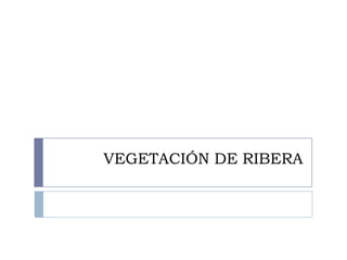 VEGETACIÓN DE RIBERA