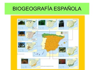 BIOGEOGRAFÍA ESPAÑOLA
 