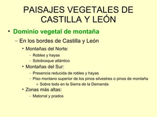 PAISAJES VEGETALES DE
         CASTILLA Y LEÓN
• Dominio vegetal de montaña
  – En los bordes de Castilla y León
    • Montañas del Norte:
       – Robles y hayas
       – Sotobosque atlántico
    • Montañas del Sur:
       – Presencia reducida de robles y hayas
       – Piso montano superior de los pinos silvestres o pinos de montaña
           » Sobre todo en la Sierra de la Demanda
    • Zonas más altas:
       – Matorral y prados
 