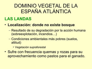DOMINIO VEGETAL DE LA
       ESPAÑA ATLÁNTICA
LAS LANDAS
• Localización: donde no existe bosque
  – Resultado de su degradación por la acción humana
    (sobreexplotación, incendios…)
  – Condiciones ambientales más pobres (suelos,
    altitud)
    • Vegetación supraforestal
• Sufre con frecuencia quemas y rozas para su
  aprovechamiento como pastos para el ganado.
 