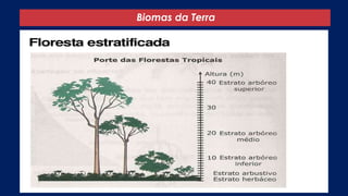 Biomas da Terra
 