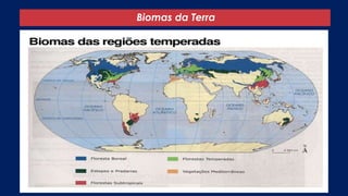 Biomas da Terra
 
