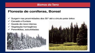 Biomas da Terra
 