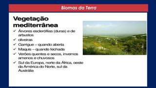 Biomas da Terra
 