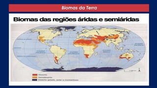 Biomas da Terra
 