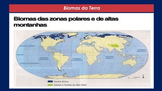 Biomas da Terra
 