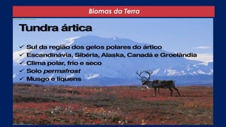 Biomas da Terra
 