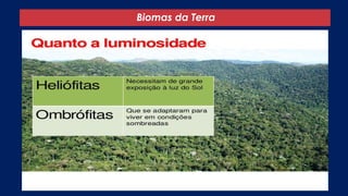 Biomas da Terra
 