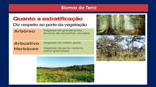 Biomas da Terra
 