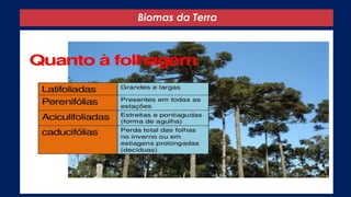 Biomas da Terra
 