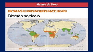 Biomas da Terra
 