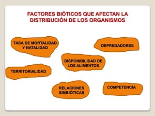 FACTORES BIÓTICOS QUE AFECTAN LA
DISTRIBUCIÓN DE LOS ORGANISMOS
TASA DE MORTALIDAD
Y NATALIDAD
DISPONIBILIDAD DE
LOS ALIMENTOS
TERRITORIALIDAD
DEPREDADORES
COMPETENCIARELACIONES
SIMBIÓTICAS
 