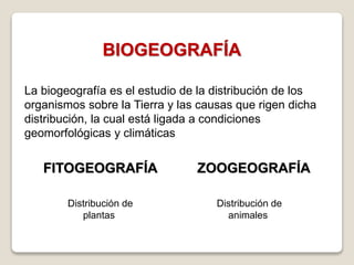 La biogeografía es el estudio de la distribución de los
organismos sobre la Tierra y las causas que rigen dicha
distribución, la cual está ligada a condiciones
geomorfológicas y climáticas
BIOGEOGRAFÍA
FITOGEOGRAFÍA ZOOGEOGRAFÍA
Distribución de
plantas
Distribución de
animales
 