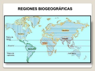 REGIONES BIOGEOGRÁFICAS
 