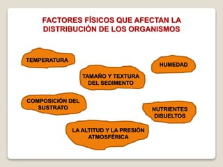 FACTORES FÍSICOS QUE AFECTAN LA
DISTRIBUCIÓN DE LOS ORGANISMOS
TEMPERATURA
HUMEDAD
COMPOSICIÓN DEL
SUSTRATO
TAMAÑO Y TEXTURA
DEL SEDIMENTO
NUTRIENTES
DISUELTOS
LA ALTITUD Y LA PRESIÓN
ATMOSFÉRICA
 