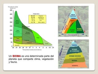 Un BIOMA es una determinada parte del
planeta que comparte clima, vegetación
y fauna.
 