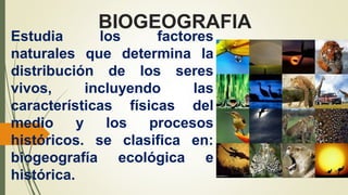 BIOGEOGRAFIA
Estudia los factores
naturales que determina la
distribución de los seres
vivos, incluyendo las
características físicas del
medio y los procesos
históricos. se clasifica en:
biogeografía ecológica e
histórica.
 