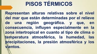PISOS TÉRMICOS
Representan alturas relativas sobre el nivel
del mar que están determinadas por el relieve
de una región geográfica. y que, en
consecuencia, influyen especialmente en la
zona intertropical en cuanto al tipo de clima o
temperatura atmosférica, la humedad, las
precipitaciones, la presión atmosférica y los
vientos.
 