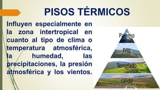 PISOS TÉRMICOS
Influyen especialmente en
la zona intertropical en
cuanto al tipo de clima o
temperatura atmosférica,
la humedad, las
precipitaciones, la presión
atmosférica y los vientos.
 