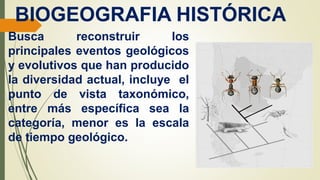 BIOGEOGRAFIA HISTÓRICA
Busca reconstruir los
principales eventos geológicos
y evolutivos que han producido
la diversidad actual, incluye el
punto de vista taxonómico,
entre más específica sea la
categoría, menor es la escala
de tiempo geológico.
 