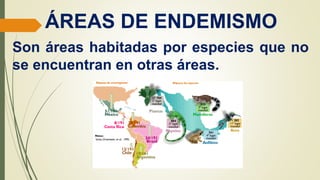 ÁREAS DE ENDEMISMO
Son áreas habitadas por especies que no
se encuentran en otras áreas.
 