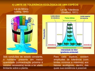 4) LIMITE DE TOLERÂNCIA ECOLÓGICA DE UMA ESPÉCIE
Lei do Mínino
(Liebig, 1840)

Sob condições de estado constante,
o nutriente presente em menor
quantidade (concentração próxima à
mínima necessária) tende a ter efeito
limitante sobre a planta.

Lei de Tolerância
(Shelford, 1911)

Para cada espécie, existem
amplitudes de tolerância (com
limites mínimos e máximos) aos
fatores ecológicos, dentro das
quais sua existência é possível.

 