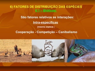 6) FATORES DE DISTRIBUIÇÃO DAS ESPÉCIES
6.1 – Bióticos:
São fatores relativos as interações:
Intra-específicas
(mesma espécie )

Cooperação - Competição – Canibalismo

 