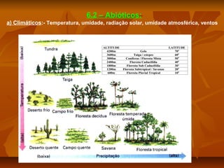 6.2 – Abióticos:
a) Climáticos:- Temperatura, umidade, radiação solar, umidade atmosférica, ventos

ALTITUDE
4200m
3600m
3000m
2400m
1800m
1200m
600m

Gelo
Taiga / estepes
Coníferas / Floresta Mista
Floresta Caducifólia
Floresta Sub Caducifólia
Floresta Subtropical / Savanas
Floresta Pluvial Tropical

LATITUDE
70o
60o
50o
40o
30º
20o
10o

 
