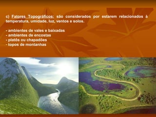 c) Fatores Topográficos: são considerados por estarem relacionados à
temperatura, umidade, luz, ventos e solos.
- ambientes de vales e baixadas
- ambientes de encostas
- platôs ou chapadões
- topos de montanhas

 