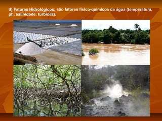 d) Fatores Hidrológicos: são fatores físico-químicos da água (temperatura,
ph, salinidade, turbidez).

 