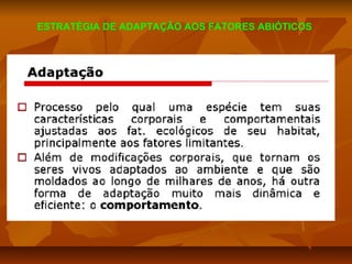 ESTRATÉGIA DE ADAPTAÇÃO AOS FATORES ABIÓTICOS

 